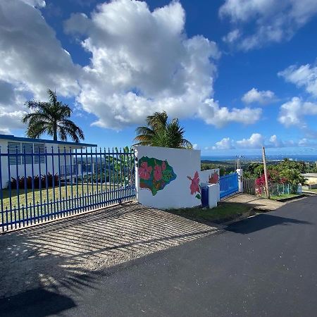 הוילה לוקווילו Million Dollar View In Puerto Rico מראה חיצוני תמונה