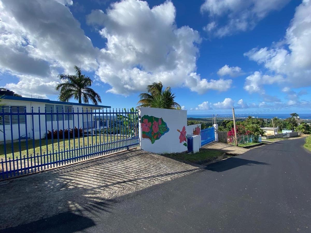 הוילה לוקווילו Million Dollar View In Puerto Rico מראה חיצוני תמונה