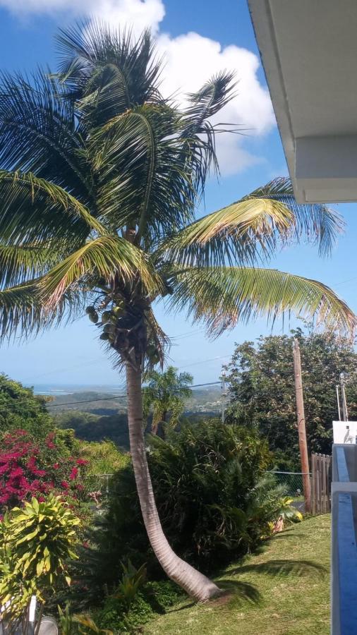 הוילה לוקווילו Million Dollar View In Puerto Rico מראה חיצוני תמונה