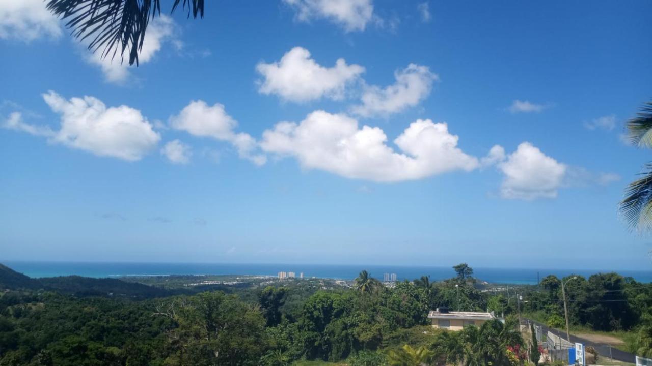 הוילה לוקווילו Million Dollar View In Puerto Rico מראה חיצוני תמונה