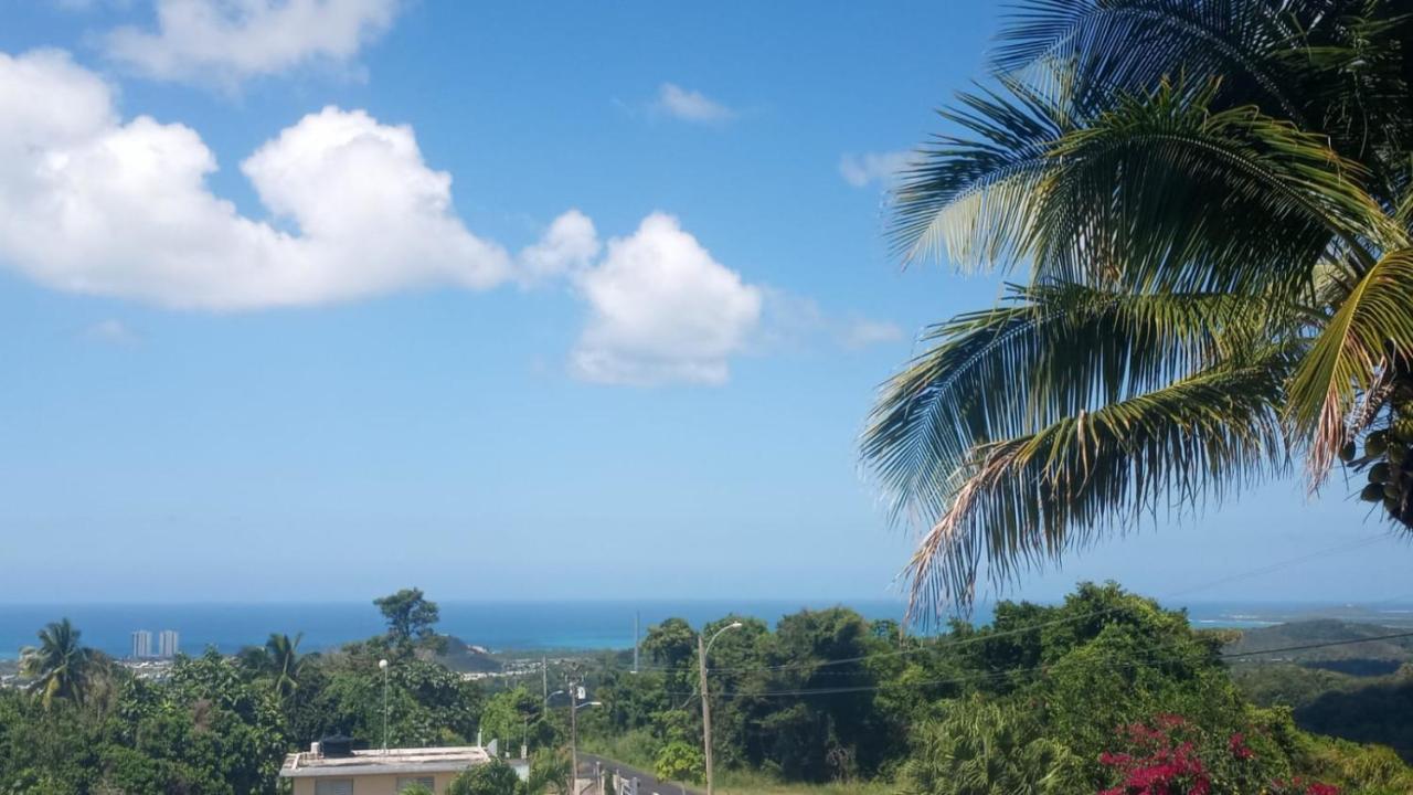 הוילה לוקווילו Million Dollar View In Puerto Rico מראה חיצוני תמונה