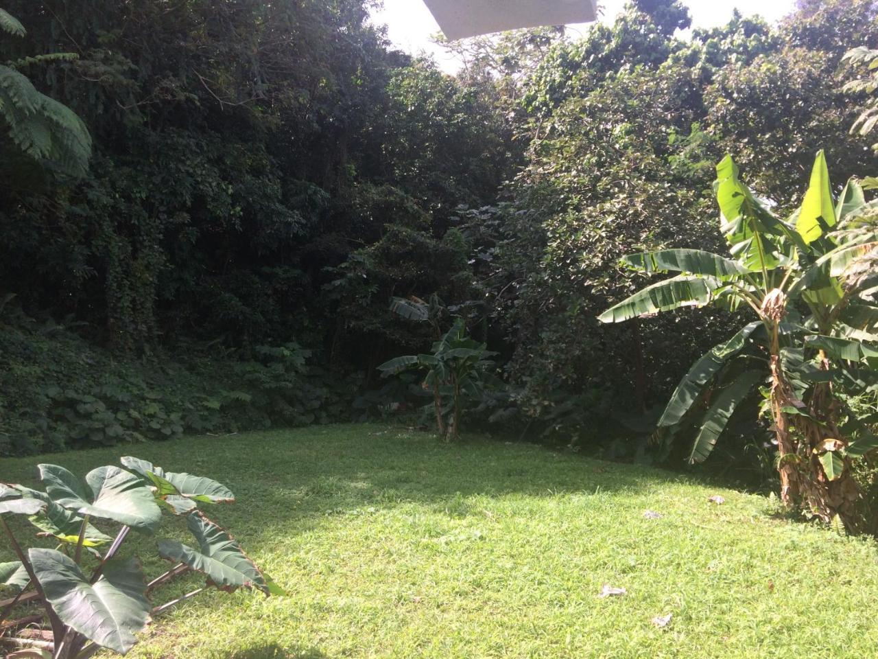 הוילה לוקווילו Million Dollar View In Puerto Rico מראה חיצוני תמונה