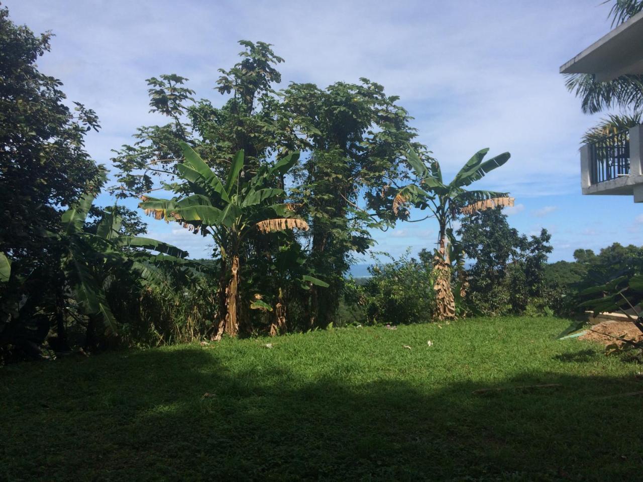 הוילה לוקווילו Million Dollar View In Puerto Rico מראה חיצוני תמונה